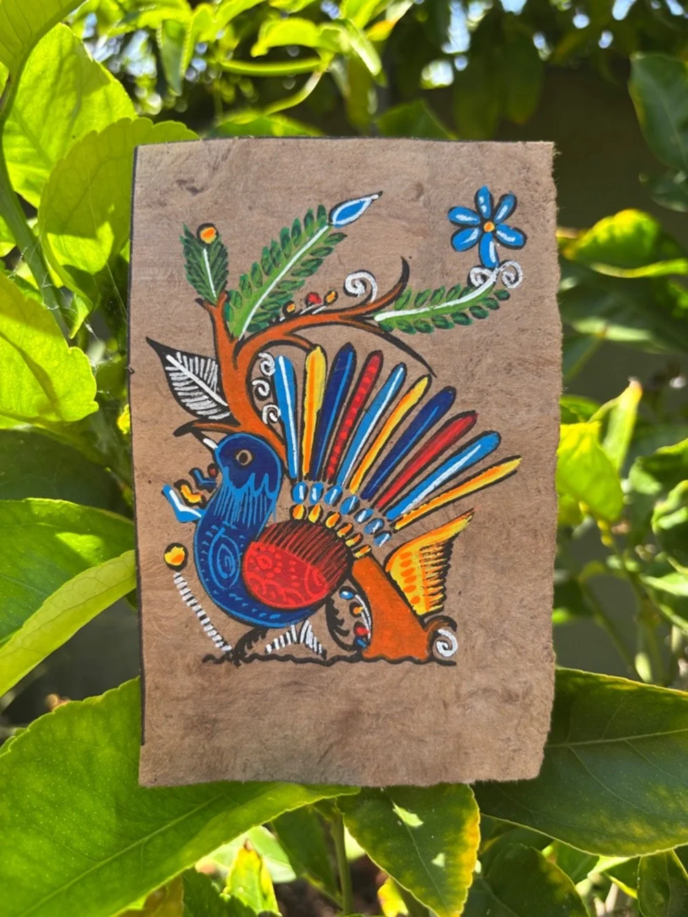 Hand-Painted Folk Art Animal Panels - Colorful Bird & Fox Motifs from Guatemala - Picture 4 of 11